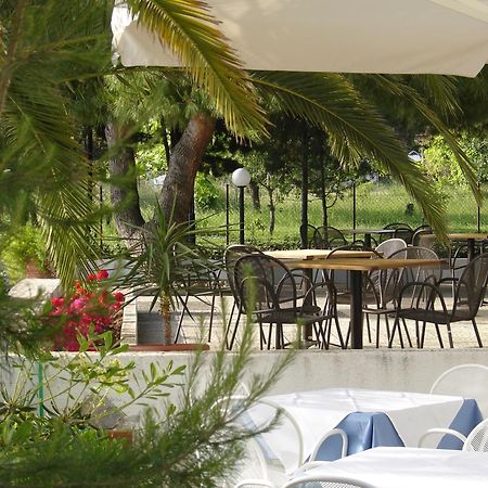 נאה פוטידאה Kassandra Mare Hotel מראה חיצוני תמונה