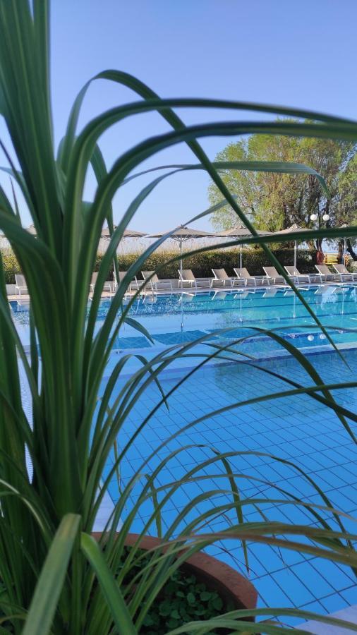 נאה פוטידאה Kassandra Mare Hotel מראה חיצוני תמונה