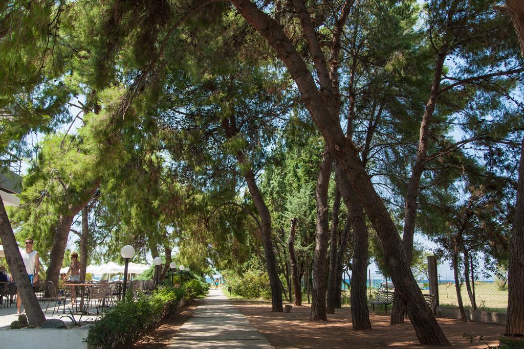 נאה פוטידאה Kassandra Mare Hotel מראה חיצוני תמונה